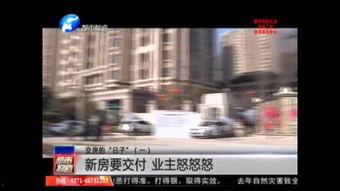 河南都市爆料都市快报最新,快报最新！揭秘河南本土热点事件背后的真相  第3张